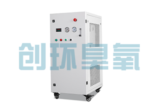 株洲石斑鱼养殖水质调控完整指南：臭氧发生器配置与操作步骤
