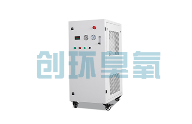 株洲比传统换水更高效？臭氧发生器在石斑鱼养殖中的水质净化原理解析
